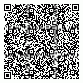 vCard 79370400011