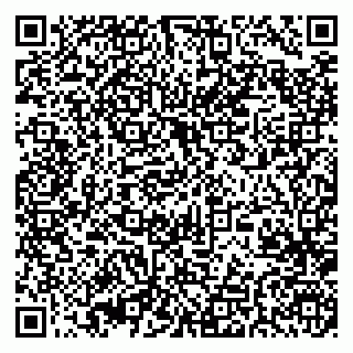 vCard 79370400013