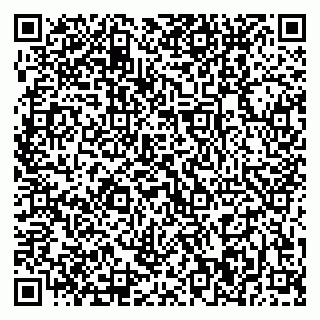 vCard 79370400031