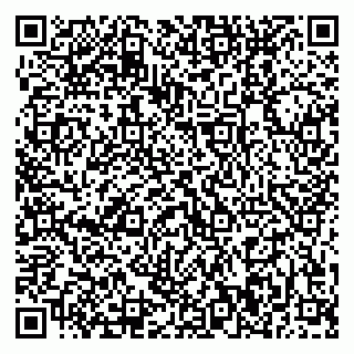 vCard 79370400033
