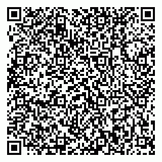 vCard 79370400053
