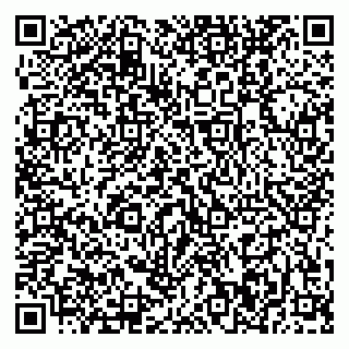 vCard 79370400061