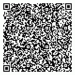 vCard 79370400096