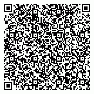 vCard 79370400110