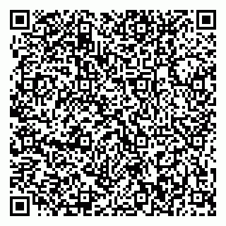 vCard 79370400111