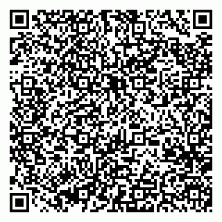 vCard 79370400131