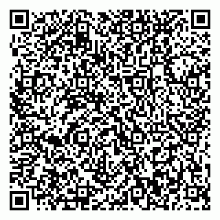 vCard 79370400133