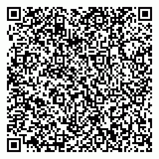 vCard 79370400163