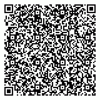 vCard 79370400181