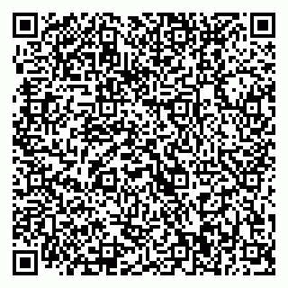 vCard 79370400195