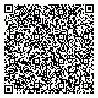 vCard 79370400209