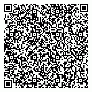 vCard 79370400228