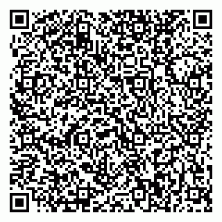 vCard 79370400265