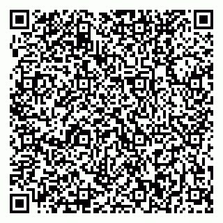 vCard 79370400271
