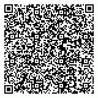 vCard 79370400272
