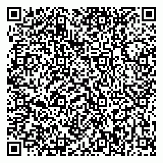 vCard 79370400295