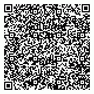 vCard 79370400297