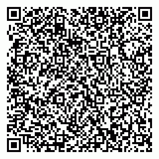 vCard 79370400303