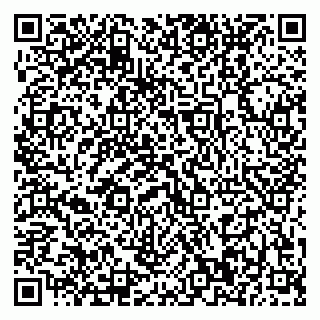 vCard 79370400306