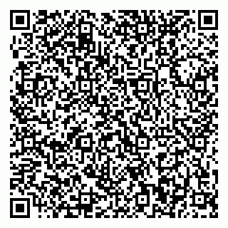 vCard 79370400308