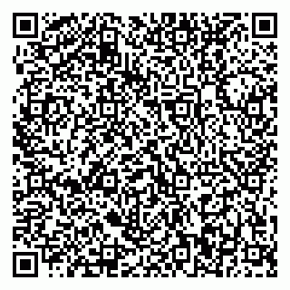 vCard 79370400309