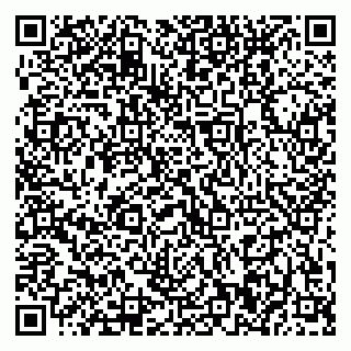 vCard 79370400310