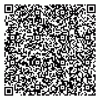 vCard 79370400315