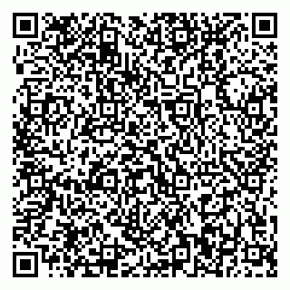 vCard 79370400319
