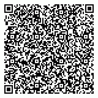 vCard 79370400331