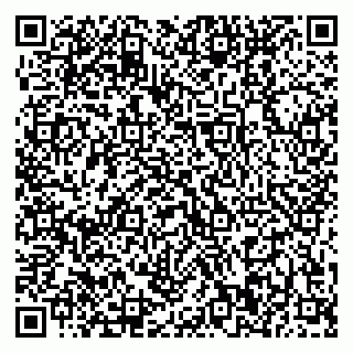 vCard 79370400334