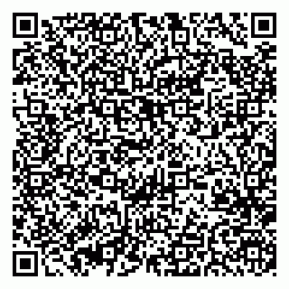 vCard 79370400335
