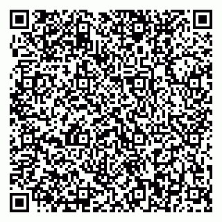 vCard 79370400339