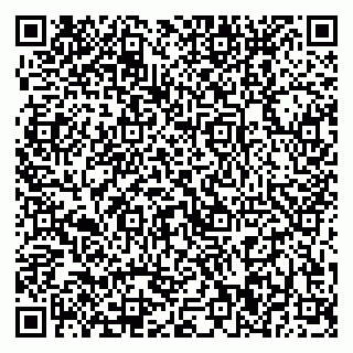 vCard 79370400351