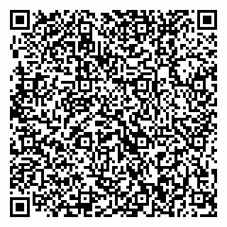 vCard 79370400371