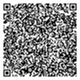 vCard 79370400379