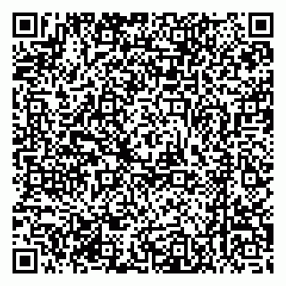 vCard 79370400382