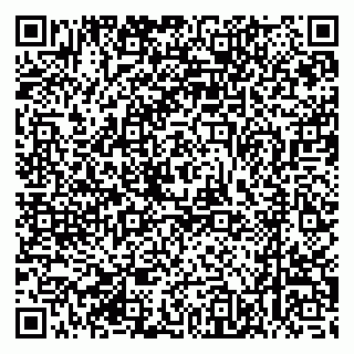 vCard 79370400383