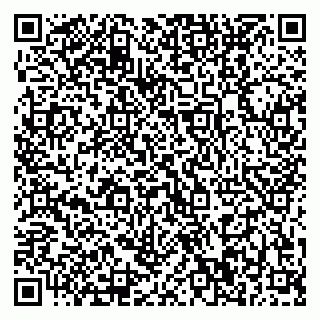 vCard 79370400387