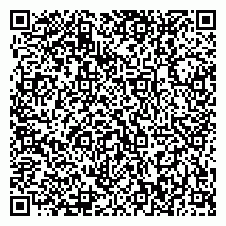 vCard 79370400391