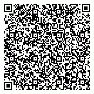 vCard 79370400399