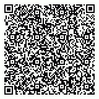 vCard 79370448105