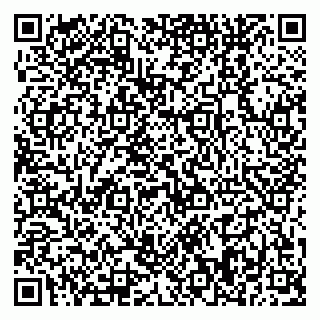 vCard 79370448133