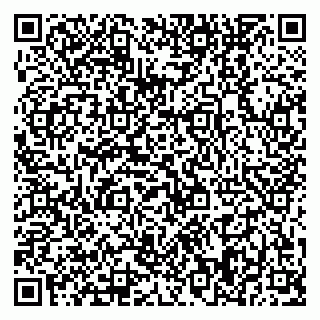 vCard 79370448381