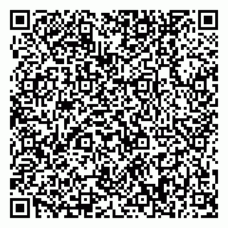 vCard 79370448387