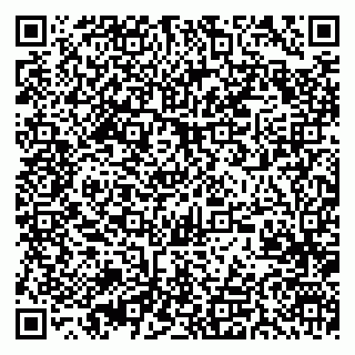 vCard 79370449032