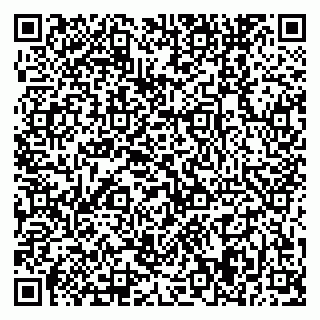 vCard 79370449063