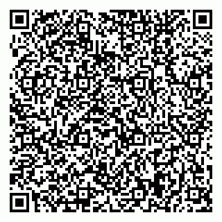 vCard 79370449252