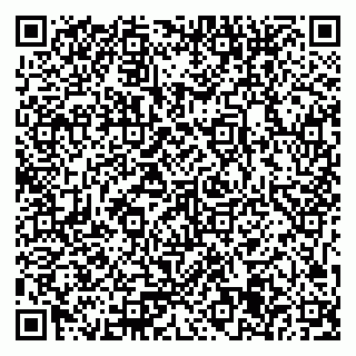 vCard 79371355310