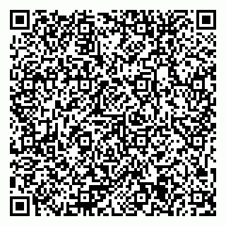vCard 79371355332