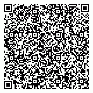 vCard 79371355381